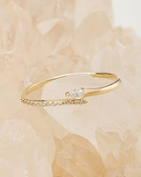 Anillos
