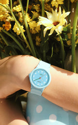 Rellotge Casio Timeless Collection LQ-24B-2BEF