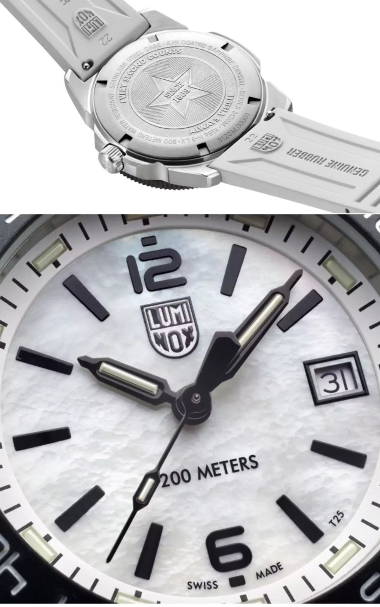 Reloj Pacific Diver Ripple 3120 Series 3128M.SET