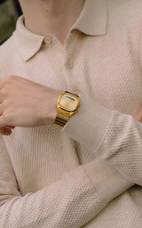 Reloj Casio Vintage AQ-240EG-9A