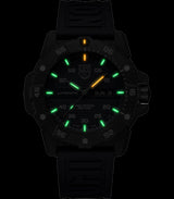 Reloj Luminox LUMINOX MASTER CARBON SEAL 3863
