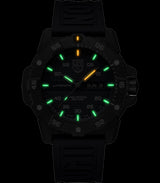 Rellotge Luminox LUMINOX MASTER CARBON SEAL 3863